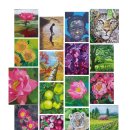 컬러 쌓는 한국화 이미지