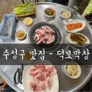 [수성구 맛집] 뒷고기가 맛있는 덕보막창 - 인생고기 후기