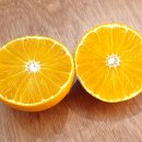 금종농장 이미지