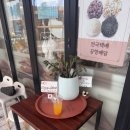 [제주] 제주 소품샵 / 헬로 제주 / 미피 제주 에디션 /해녀미피