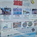 애들동반 또는 데이트 나들이하기 좋은 경주 버드파크