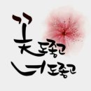 꽃도좋고너도좋고