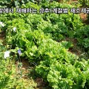 진민박 네이버블로그