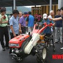 춘천시농업기술센터 이미지