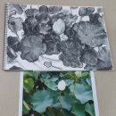 [오전] 서양화 이미지