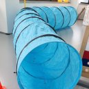 마이댕댕스쿨 이미지