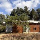 자연숲 | 동두천 자연휴양림 숙박 후기 : 숲속의 집 단층형 07호, 바베큐, 놀거리