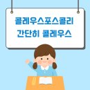 콜레우스 포스콜리 효능 이미지