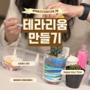 평택시건강증진센터 | 평택청년건강증진프로그램 스트레스관리 테라리움 원데이클래스 후기