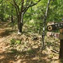 마래산 둘레길 이미지