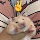 11545-02-36-21 | [포포감일지] 신공주 머리하는 날 | 서울 고척동 포탈 바버샵/26. 02. 02 (월)