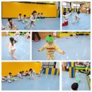 대오체육관 이미지