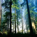 한성종합개발 이미지