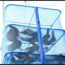 울도민박 이미지