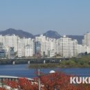 상업용 84 이미지
