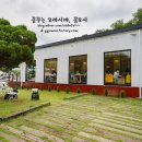 온더그린 이미지