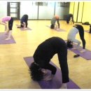 일반요가 이미지