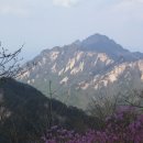 충북리무진(주) 이미지