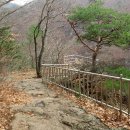 청량산유림길 이미지