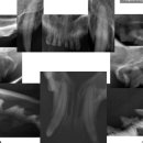 목동찬동물의료센터 이미지