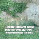 여우고개어린이문고 | 서울어린이대공원동물원 관람시간과 입장료 정보 내돈내산