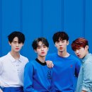 CeCi 카카오 검색결과