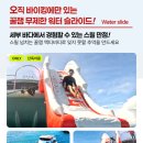 세부호핑투어 노광고 예약후기 효도자유여행 3박5일 대구출발 8월 세부여행 - 준비기(2)