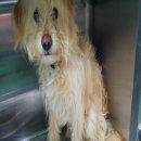 원호암5길 이미지