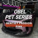 클릭에이 | 부천랩핑 스팅어 랩핑 OBEL Bentiey Passion Pink 벤티에이 패션 핑크 후기