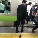 우동데이 네이버블로그