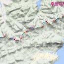 후망 이미지