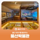 상주 함창 사마소 유물 | [블로그 기자] 울산 남구 울산박물관이 들려주는 울산 이야기