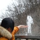 울진백양 세계일보