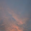 강진자연드림 이미지