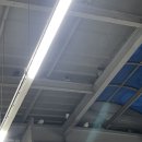 뽑앗쿠마 이미지