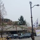 국립서울현충원 박대묘화장실 | 서울 아이들과 가볼만한곳 현충원 벚꽃 및 의장대 공연, 주차팁까지 봄소풍 후기