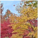 시민행정사사무소 이미지