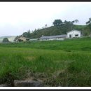 들꽃목장 이미지