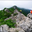 그때그자리 이미지