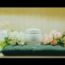 펫바라기
