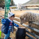 한우드림 이미지