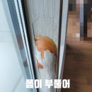 용산파크이편한세상경로당 | 샤시시트지보수 창틀 필름 시공