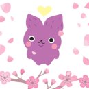 강릉바이크 네이버블로그
