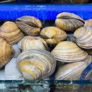 대신수산식당 이미지