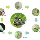 충암유치원 이미지