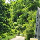 고운힐링팜 이미지