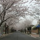 진해여자고등학교 이미지