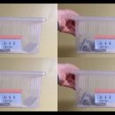 꼰정게코