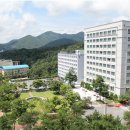 창신대학교 사회복지대학원 네이버블로그