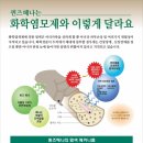 퀸즈헤나미용실 이미지
